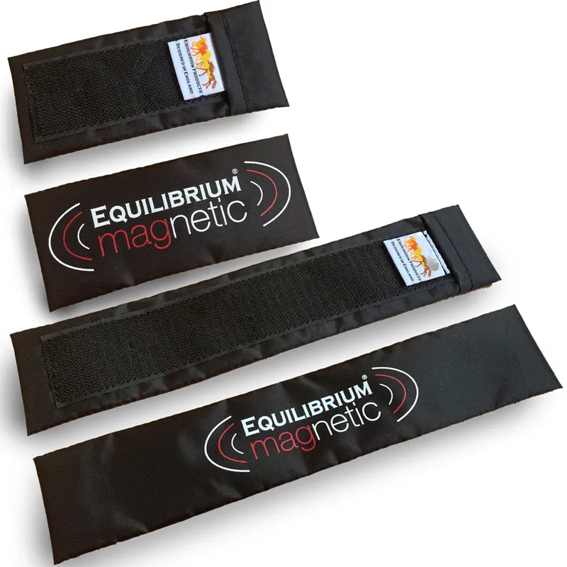Equilibrium Spare Magnets