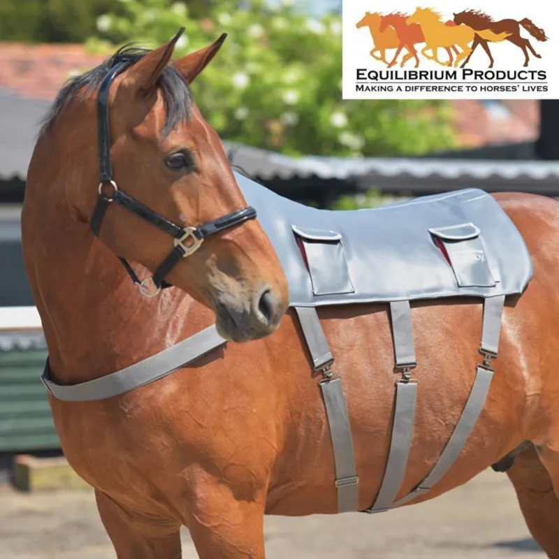 Equilibrium XL Massage Pad-1