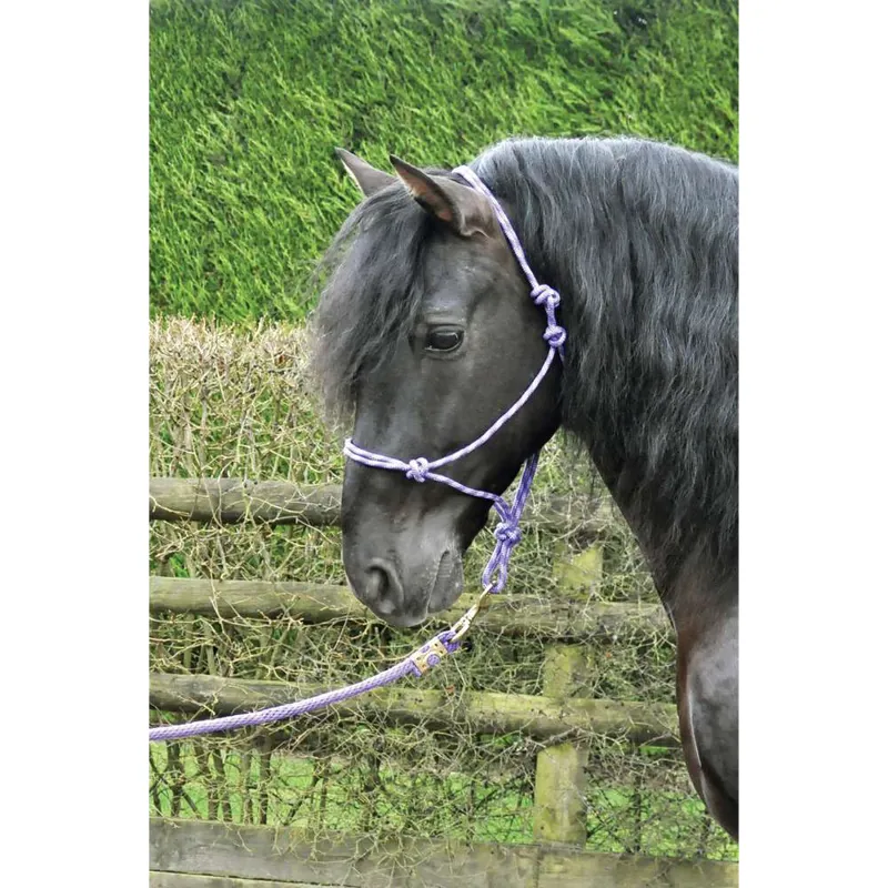 KM Elite Rope Halter in Purple/Lilac Purple