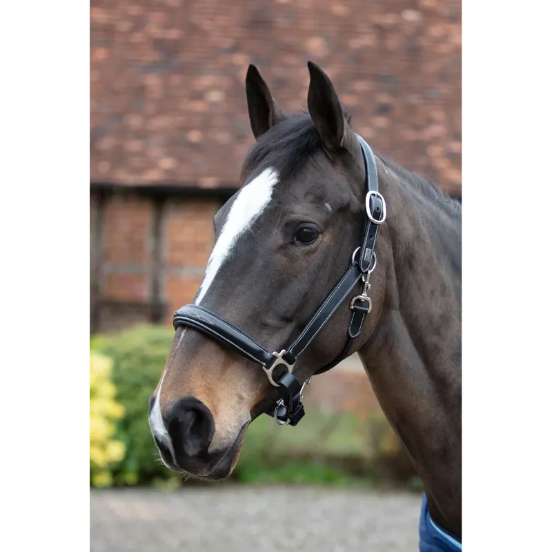 Mark Todd Raised Fancy Stitch Full Leather Head Collar in Black