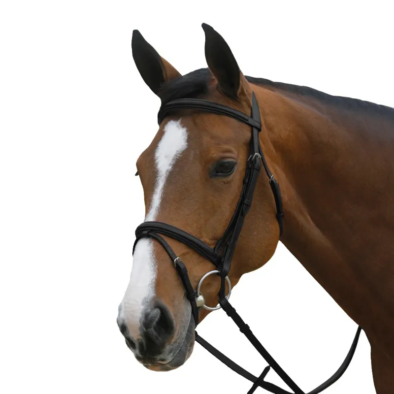 Mark Todd Square Raised Padded Cob Bridle w/Flash Noseband in Black