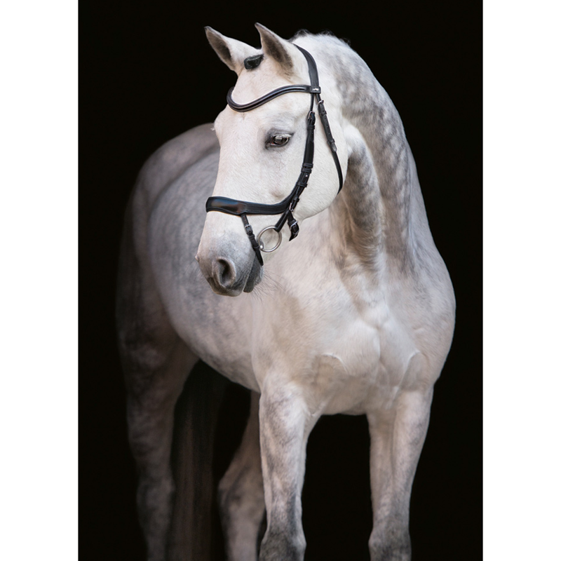 Schockemohle Equitus Alpha Anatomical Bridle -  Black/Silver-1