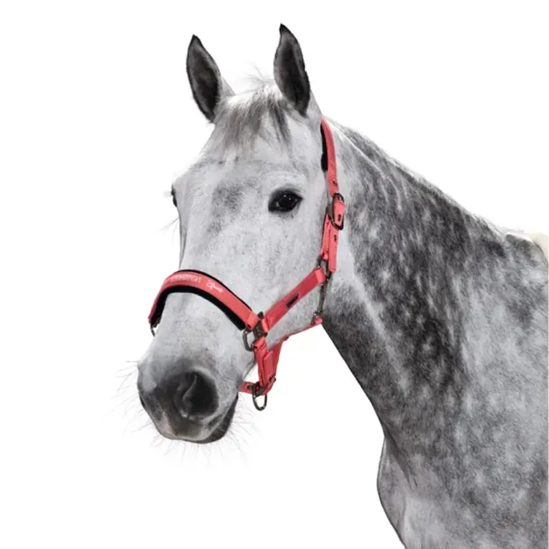 Eskadron Glossy Headcollar Classic Sports Ltd. SS19 - Fusion Coral