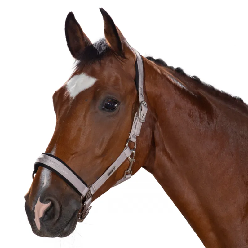 Eskadron Double Pin Buckle Glossy Headcollar Classic Sports AW19 - Light Grey