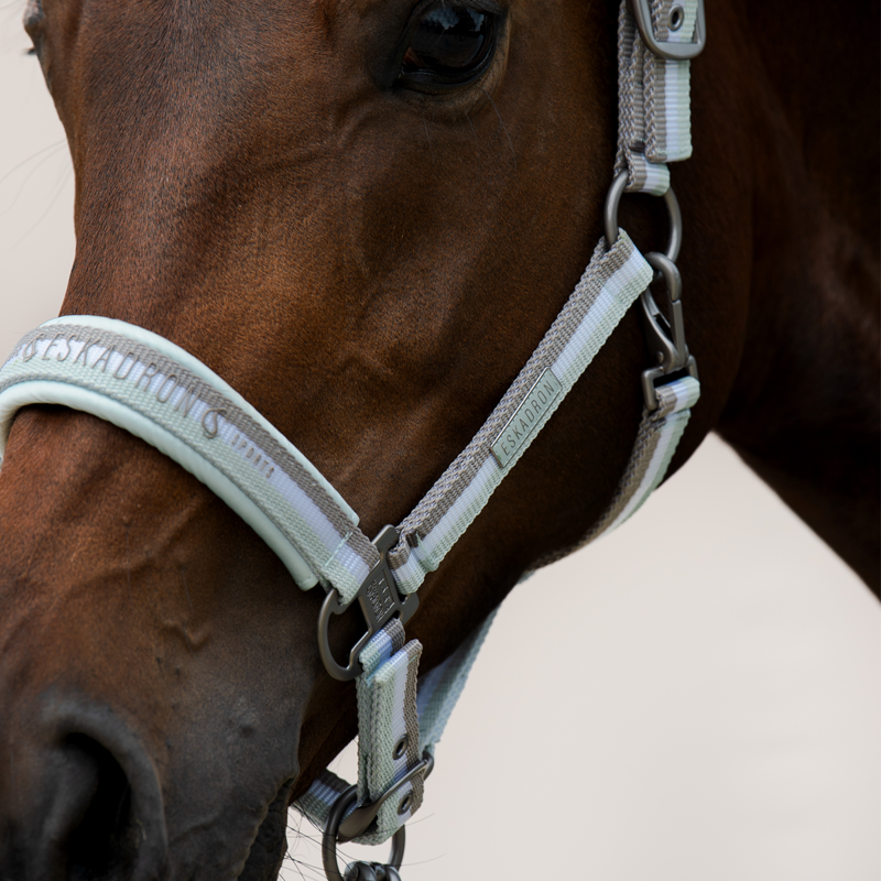 Eskadron Double Pin Headcollar Classic Sports SS24 - Powder Green-1