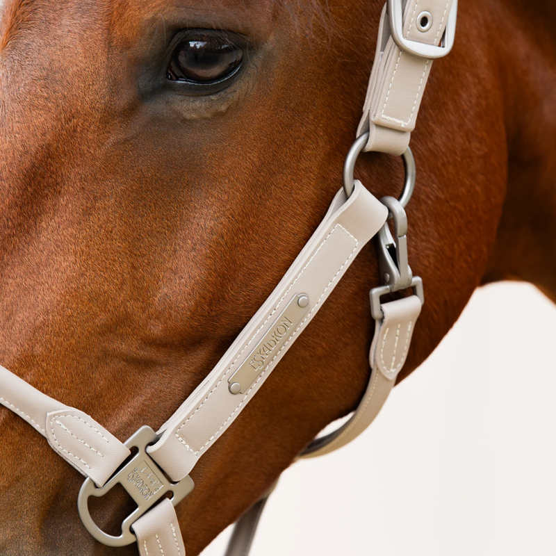 Eskadron Leather Double Pin Headcollar Classic Sports SS24 - Velvet Taupe-1