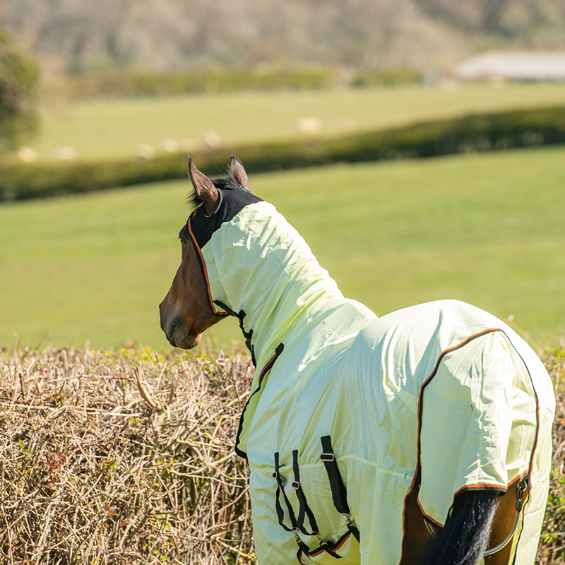 Equilibrium Field Relief Fly Rug - Yellow/Black/Orange-5