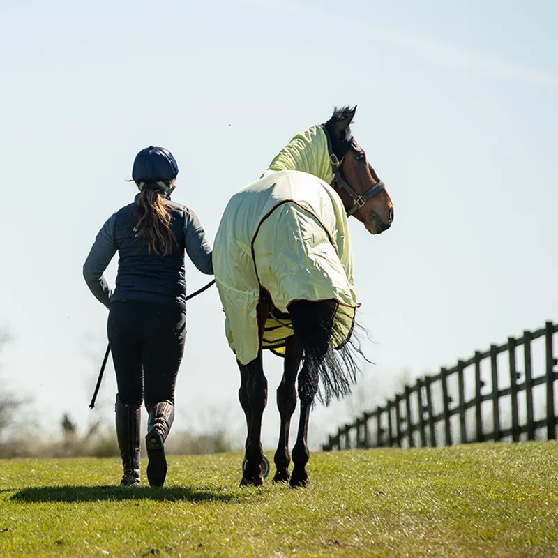 Equilibrium Field Relief Fly Rug - Yellow/Black/Orange-4