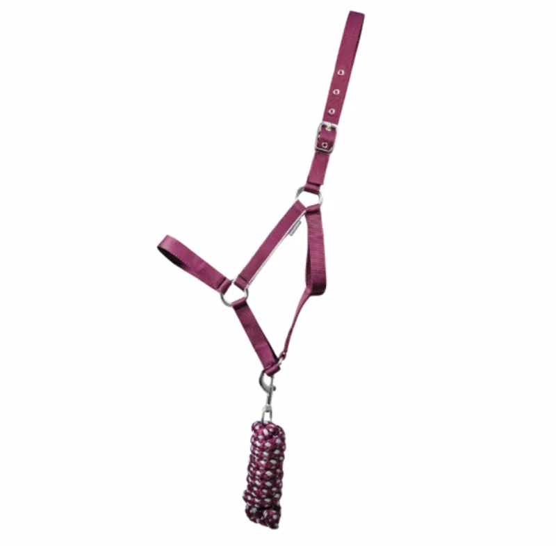 Hy Equestrian Synergy Head Collar in Fig/Silver