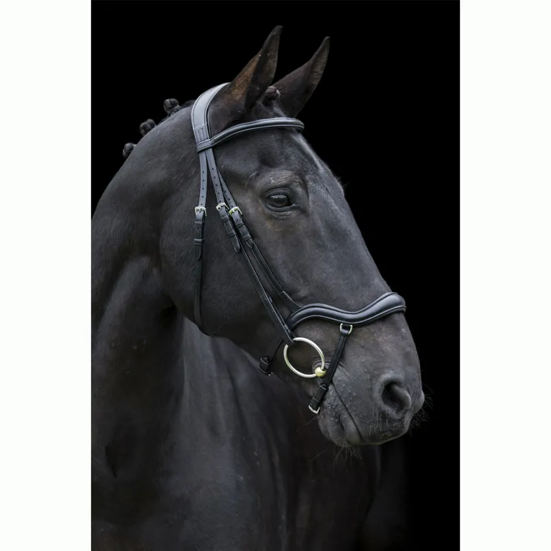 EcoRider Ecosoft Finesse Bridle - Black
