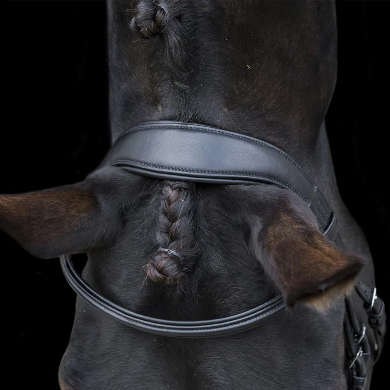 EcoRider Ecosoft Finesse Bridle - Black-1