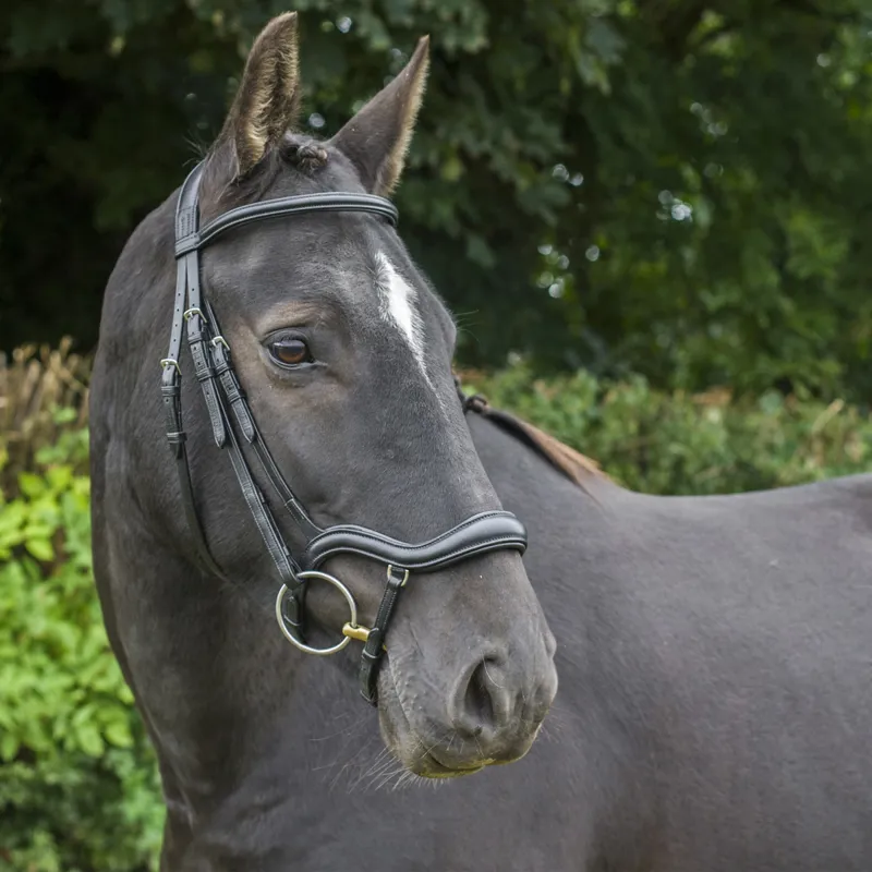 EcoRider Ecosoft Finesse Bridle - Brown-3
