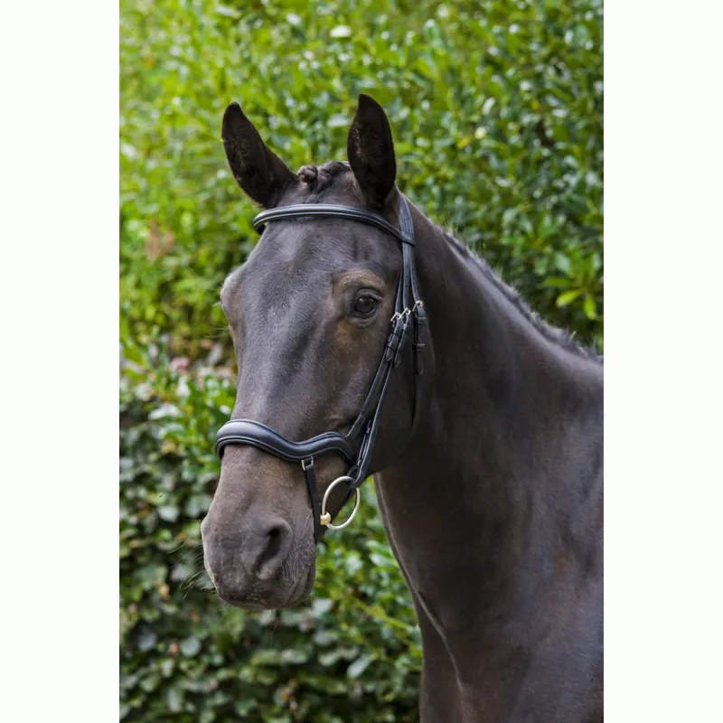 EcoRider Ecosoft Finesse Bridle - Black-4