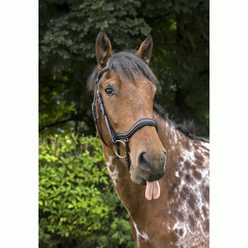 EcoRider Ecosoft Finesse Bridle - Black-5