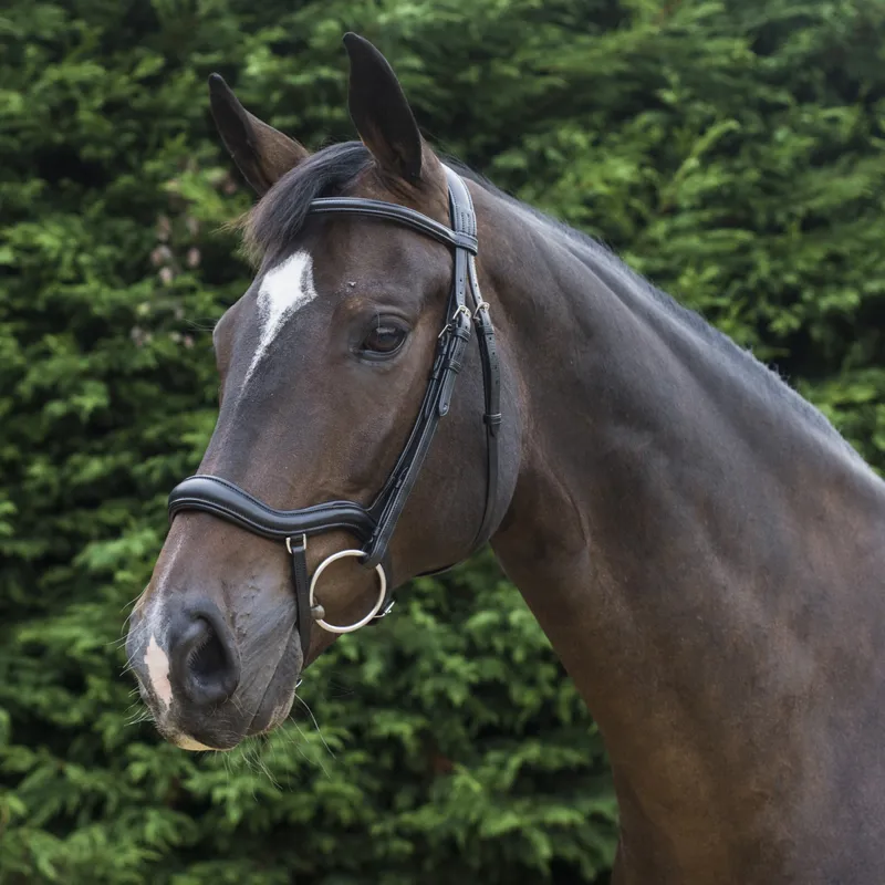 EcoRider Ecosoft Finesse Bridle - Brown-6