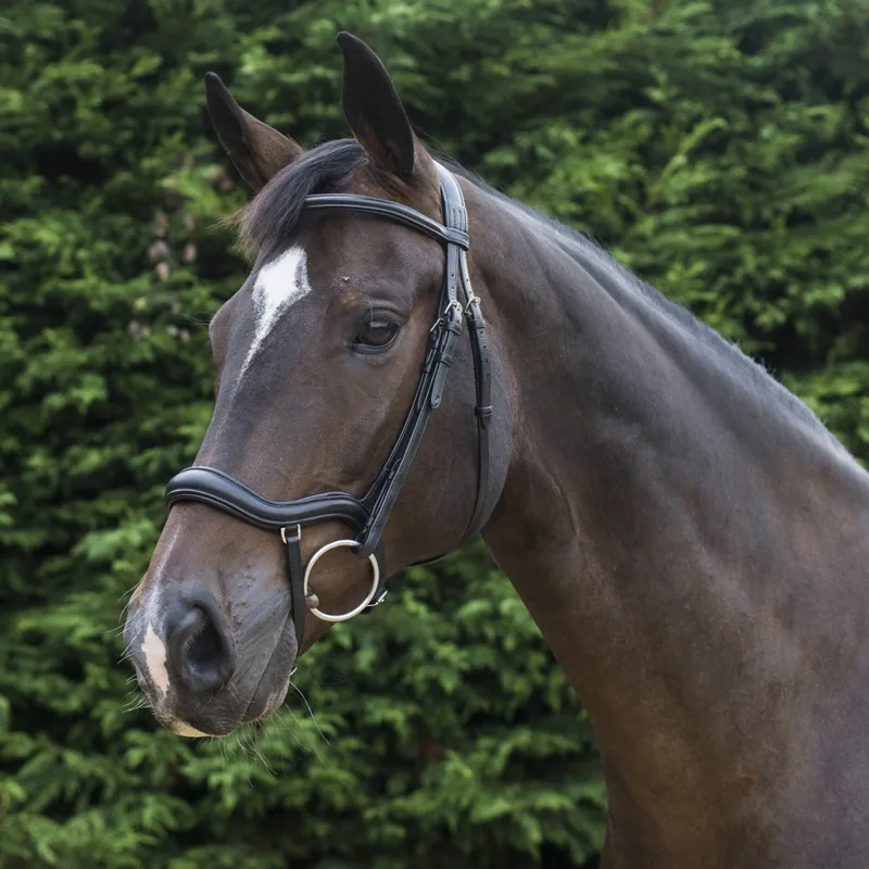 EcoRider Ecosoft Finesse Bridle - Black-6