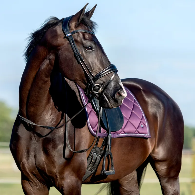 PS Of Sweden Floret Dressage Saddlepad - Hortensia-2