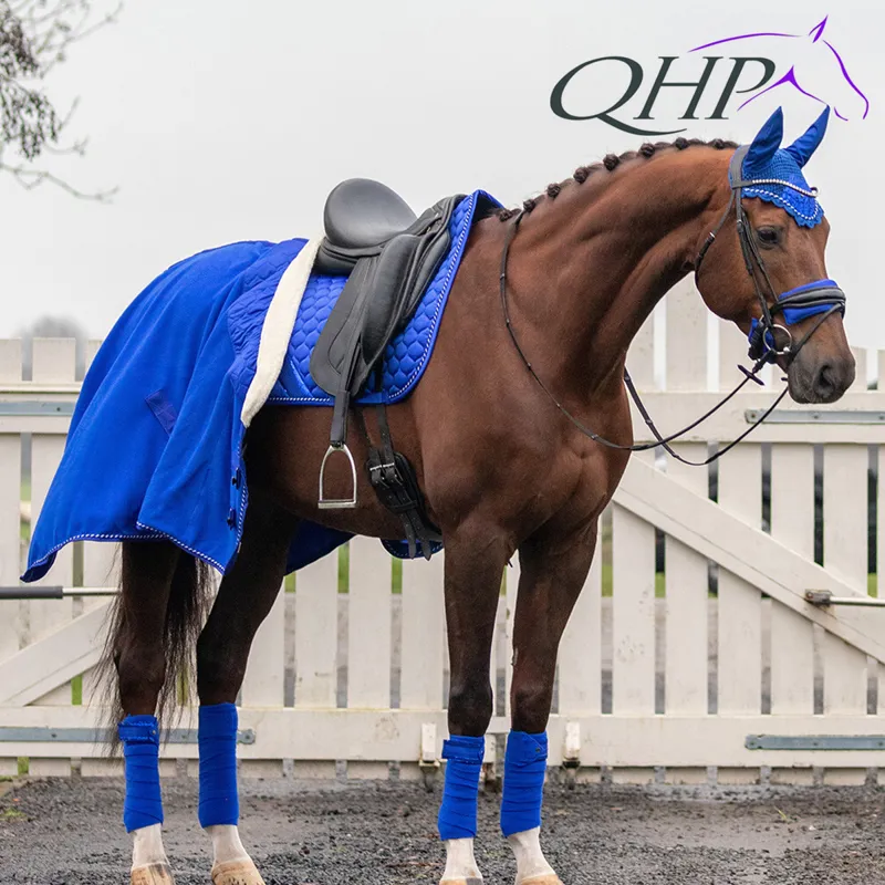 QHP Ear Net Brilliance - Victoria Blue-1