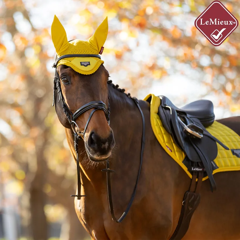 LeMieux Loire Fly Hood - Dijon-1