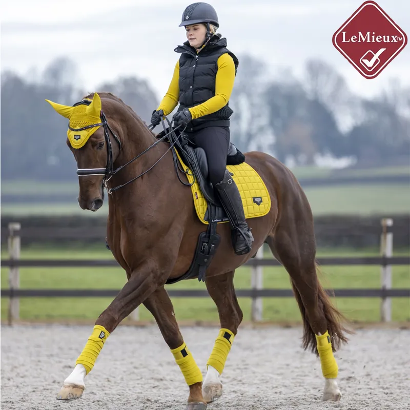 LeMieux Loire Polo Bandages - Dijon-1