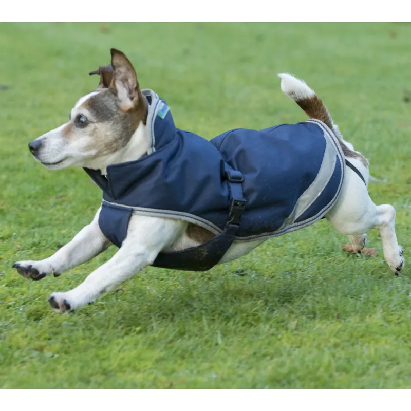 Bucas Freedom Dog Rug Coat 300g - Navy/Silver