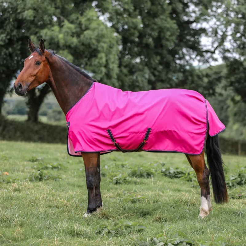 Bucas Freedom Light 0g Turnout Rug - Fuchsia