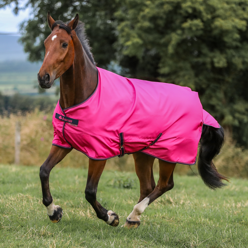 Bucas Freedom Light 0g Turnout Rug - Fuchsia-1