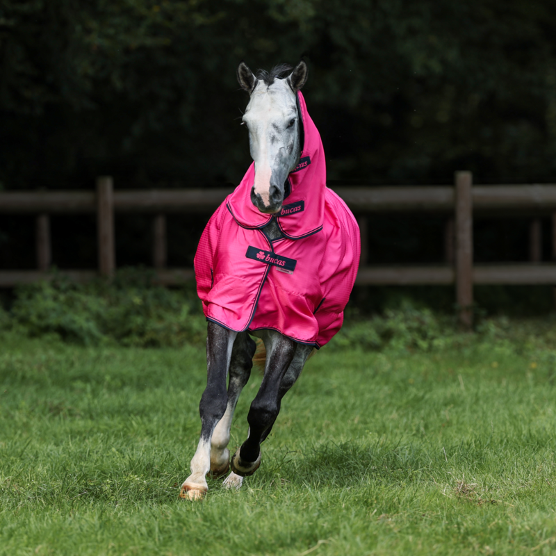 Bucas Freedom Light 0g Combo Turnout Rug - Fuchsia-3