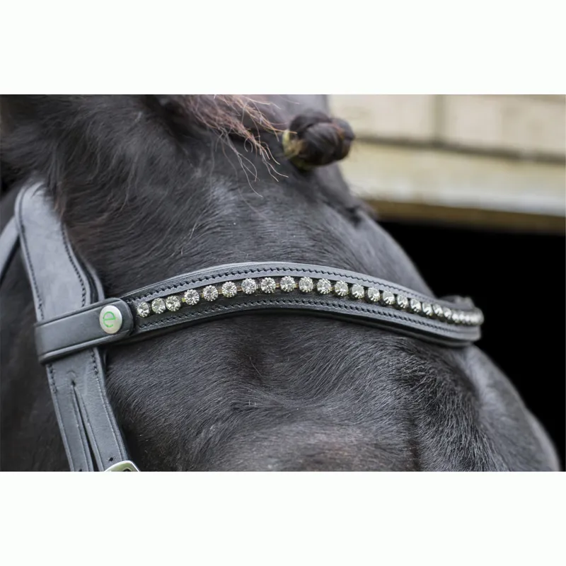EcoRider Freedom Browband - Brown