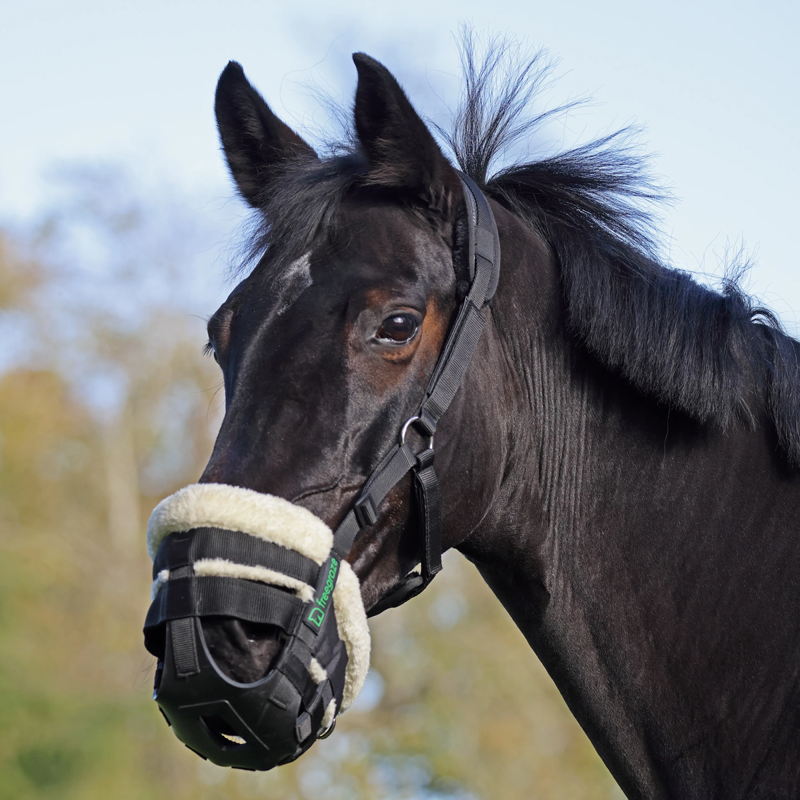 Shires FreeGraze AirFlow Grazing Muzzle - Black-1