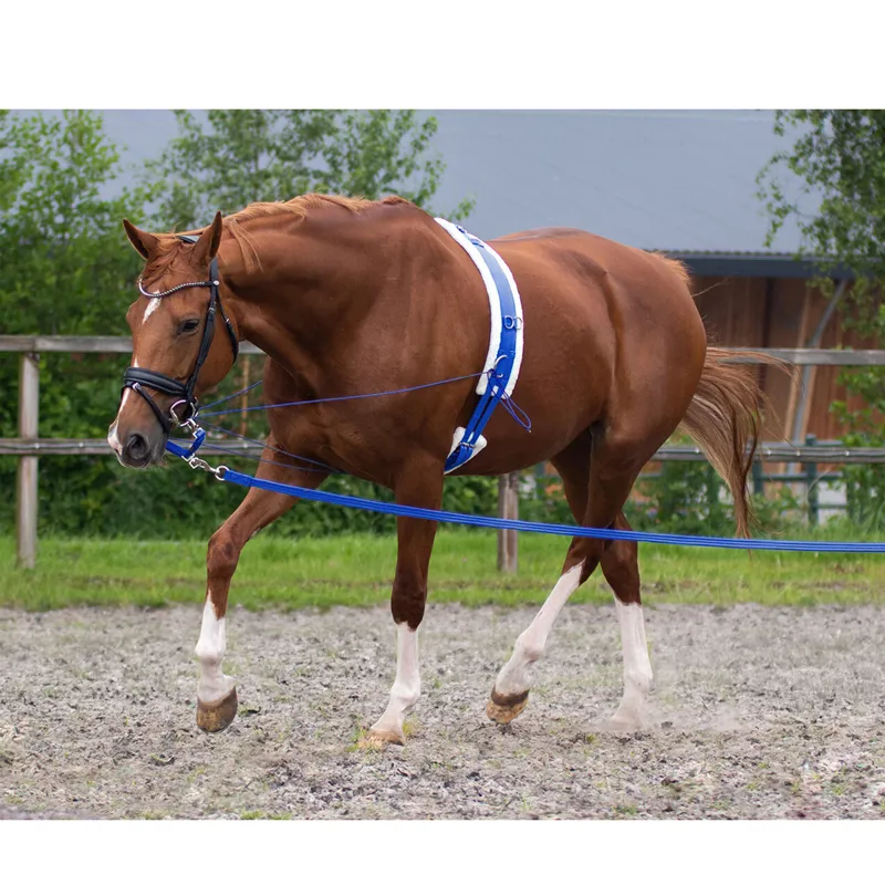 QHP Ontario Lunging Girth - Cobalt Blue -1