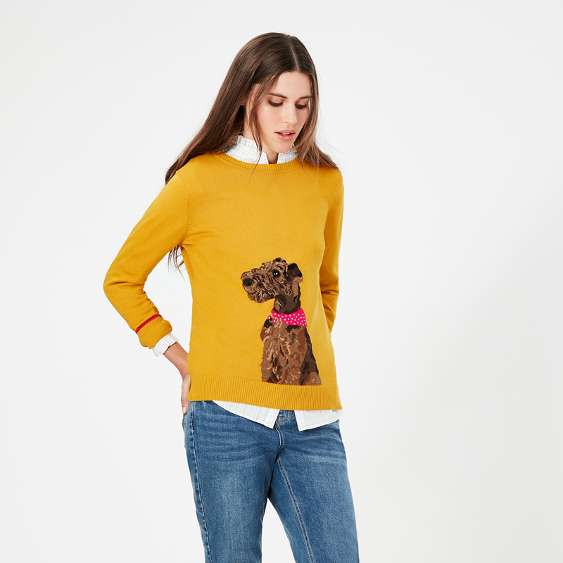 Joules Miranda Crew Neck Jumper - Gold Dog-2
