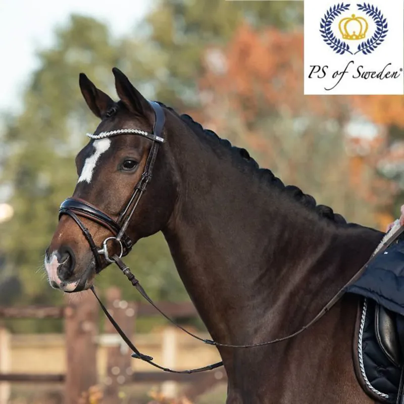 PS Of Sweden GP Patent Bridle-1