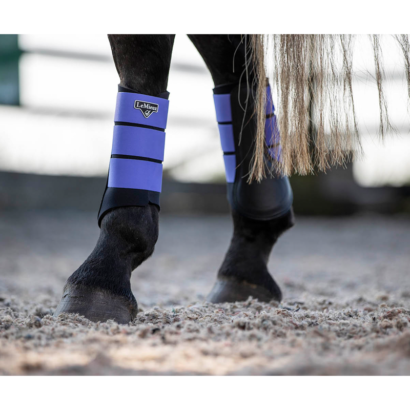 LeMieux Grafter Brushing Boot - Bluebell-5