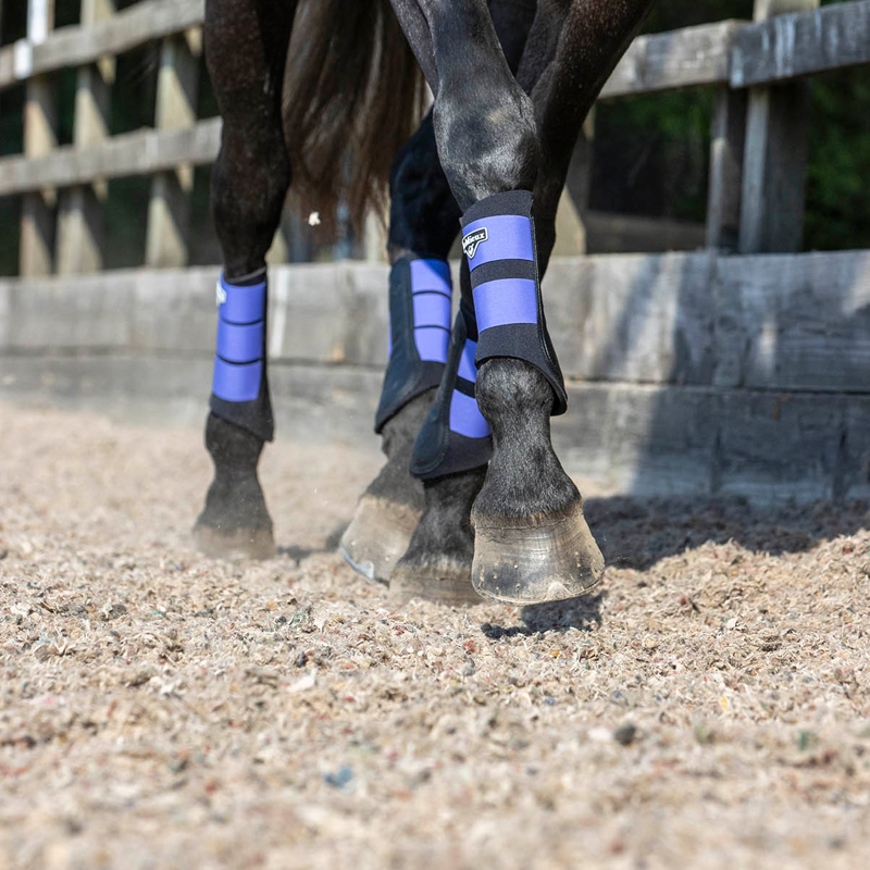 LeMieux Grafter Brushing Boot - Bluebell-4