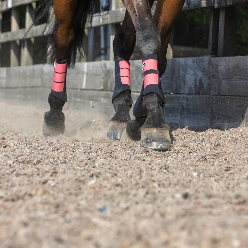 LeMieux Grafter Brushing Boot - Papaya-3