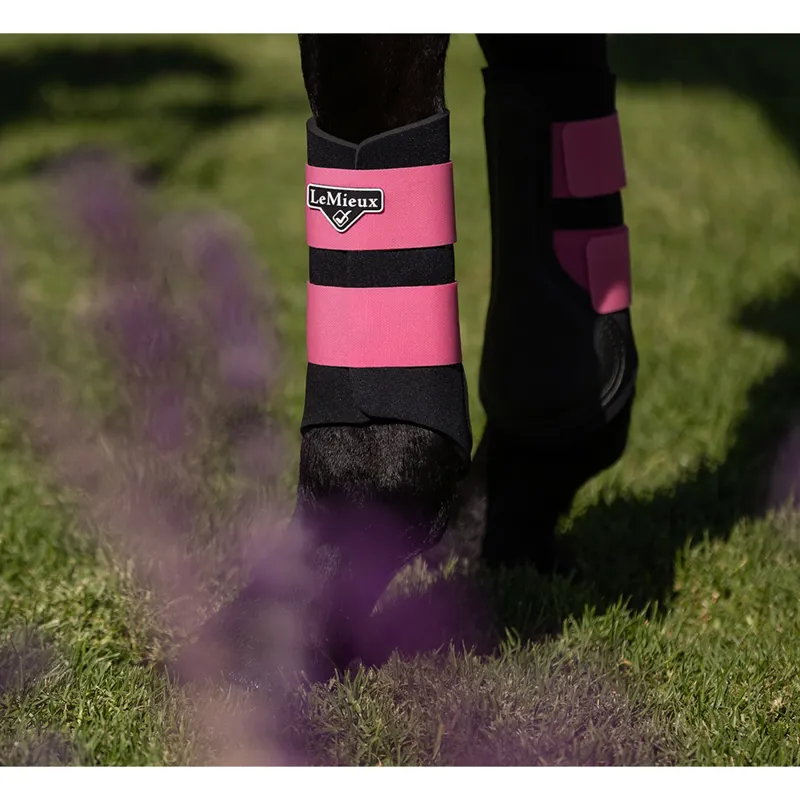 LeMieux Grafter Brushing Boot - Watermelon-4