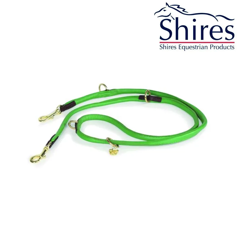 Digby and Fox Rolled Leather Training Dog Lead - Green
