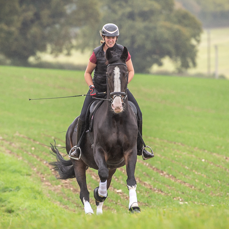 Charles Owen Halo Gloss Riding Hat - Black/Rose Gold-2