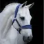 Horseware Rambo Padded Headcollar - Royal Blue/Silver/Black 