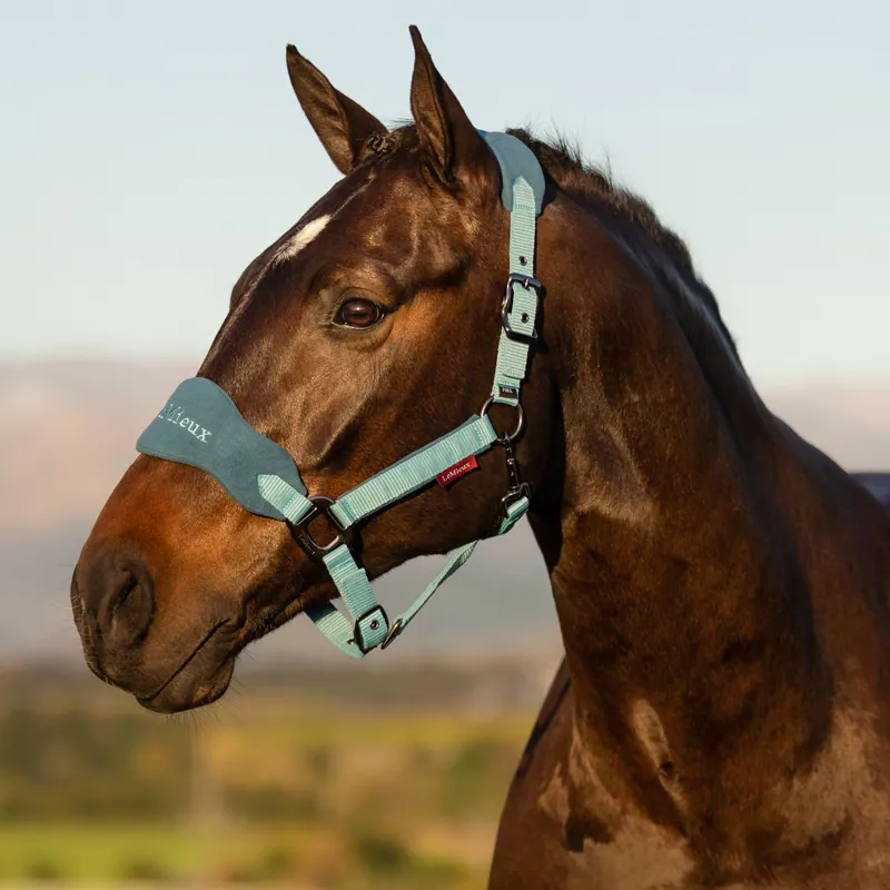 LeMieux Vogue Fleece Headcollar and Leadrope - Marine-3