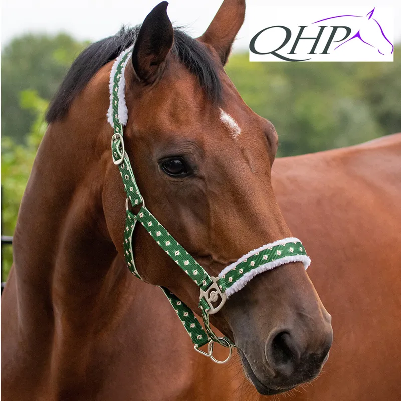QHP Christmas Headcollar - Elf-1