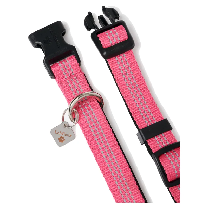 LeMieux Henley Webbing Dog Collar - Watermelon-1