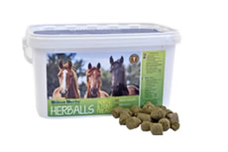 Hilton Herbs 2kg Herballs Horse Treats in White