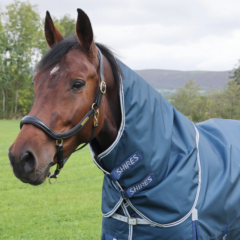 Shires Highlander Original 50 Turnout Rug and Neck Set - Ocean-1