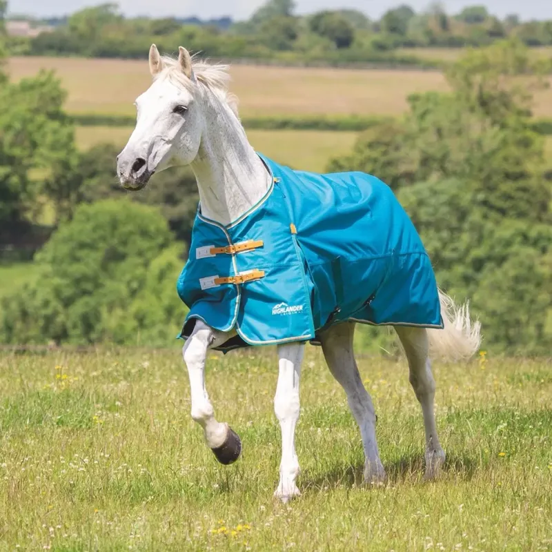 Shires Highlander Original Lite Turnout Rug - Teal