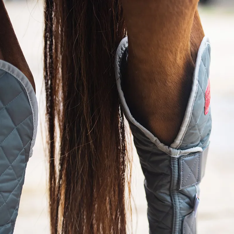 Equilibrium Hind and Hock Magnetic Chaps - Grey-1