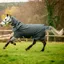 Horseware Amigo Hero Ripstop Plus 100g Turnout Rug - Shadow/Lime/Navy