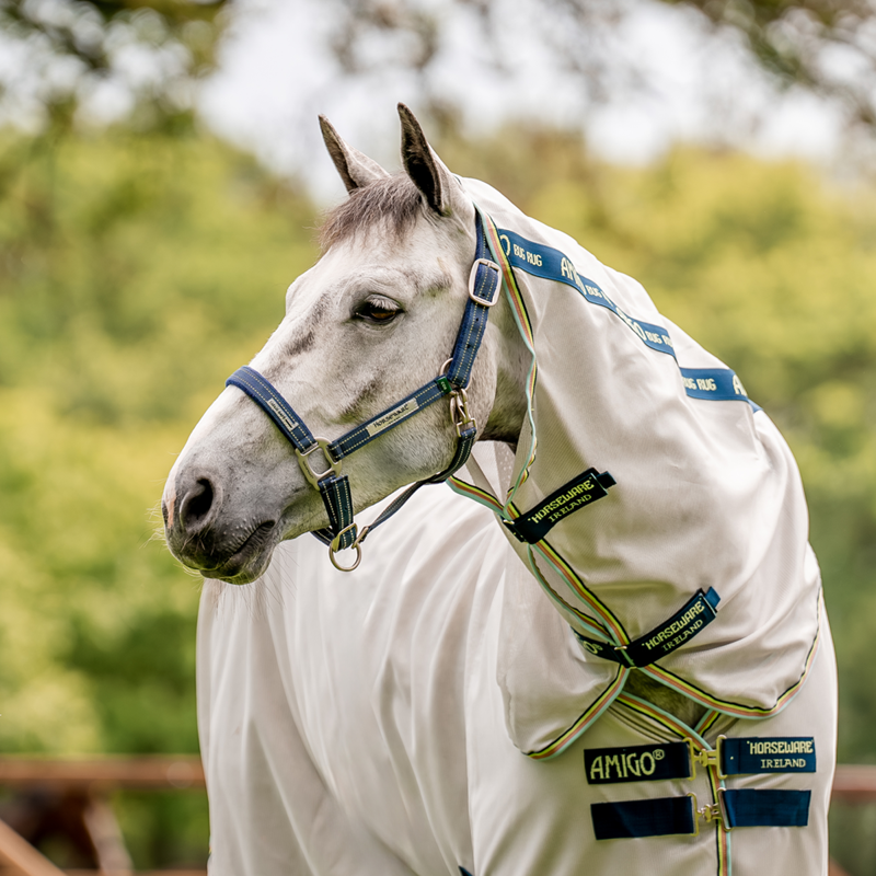 Horseware Field Safe Headcollar - Navy-1