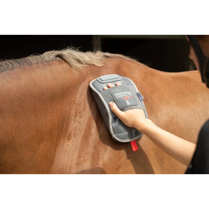 Equilibrium Massage Mitt Hotspot -1